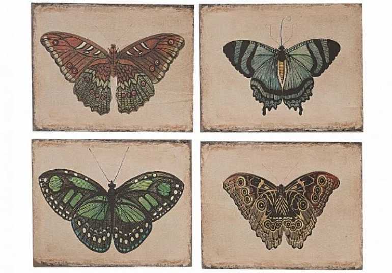 картина бабочки da3234a, 4 вида