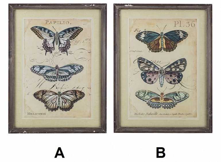 картина в винтажном стиле "бабочки", 2 вида