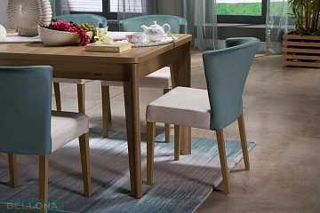 Стулья обеденные Vienza