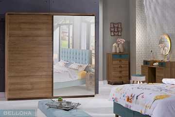 Шкаф-купе Vienza