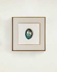 Интерьерное панно "Абалон – II"