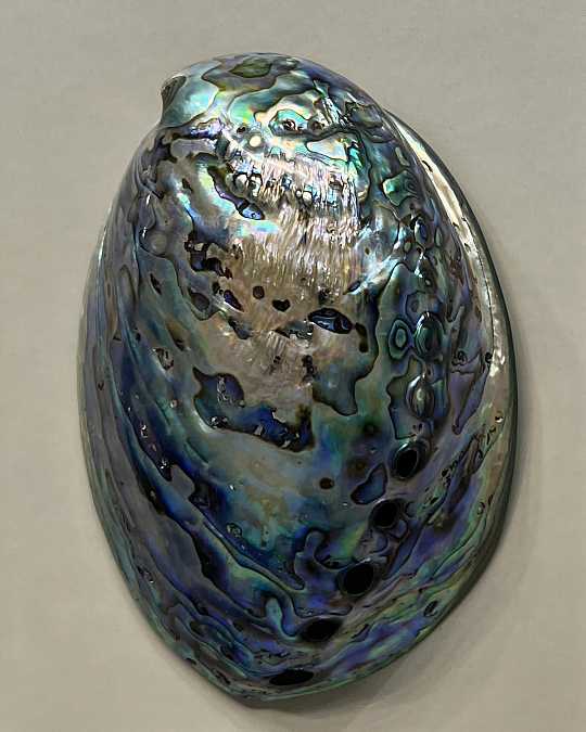 купить интерьерное панно "абалон – ii"