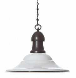 Светильник металлический в стиле ретро, da0555