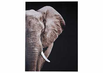 Картина Wall Decor A8000281 Jendayi