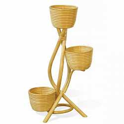 Цветочница Calamus Rotan, 15/29