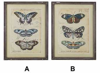 Картина в винтажном стиле "Бабочки", 2 вида