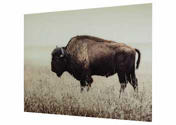 Картина Wall Decor A8000289 Brutus