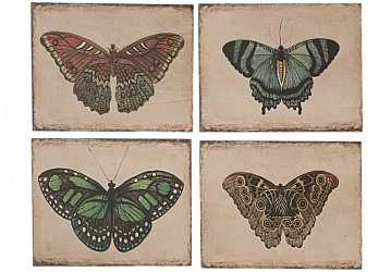 Картина бабочки da3234a, 4 вида