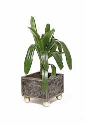 Настольное кашпо Black moon